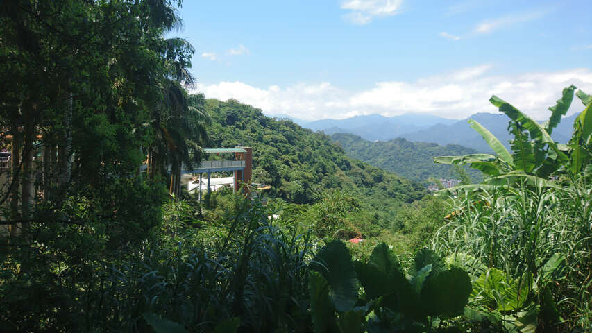 由大香山望向新店山區