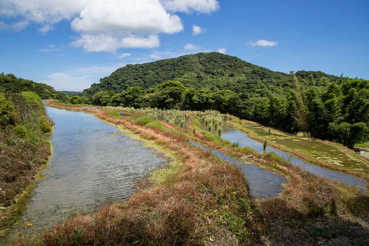 嵩山社區-百年石砌梯田