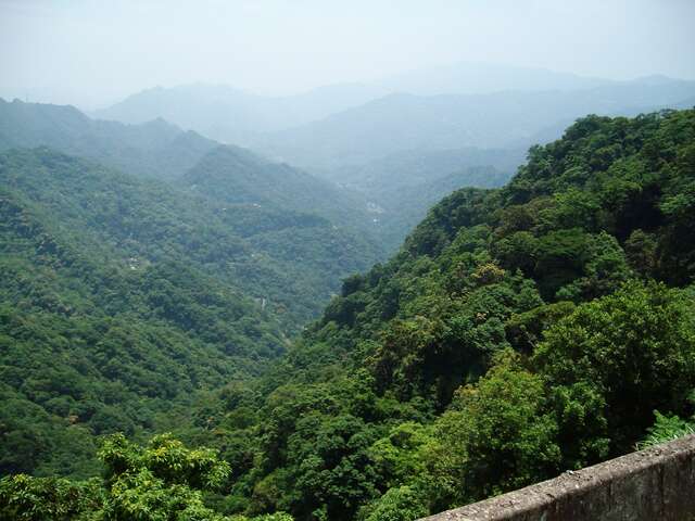 主視覺圖片