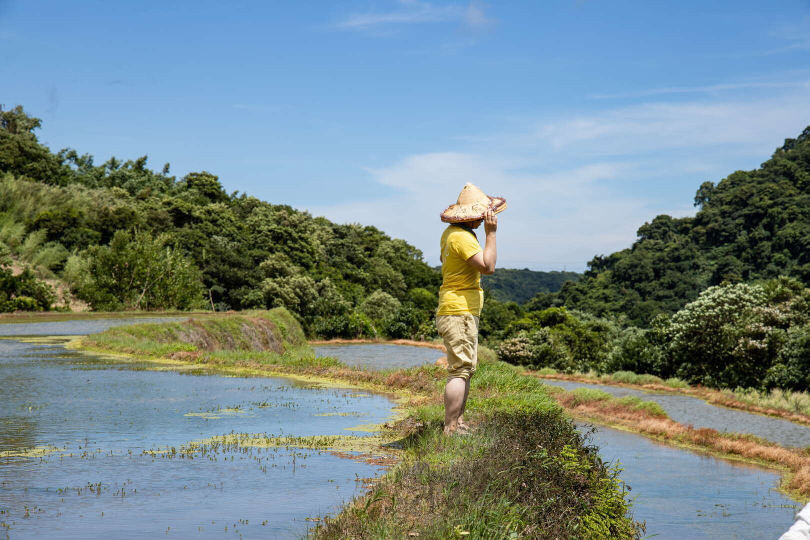 石門嵩山社區百年石砌梯田