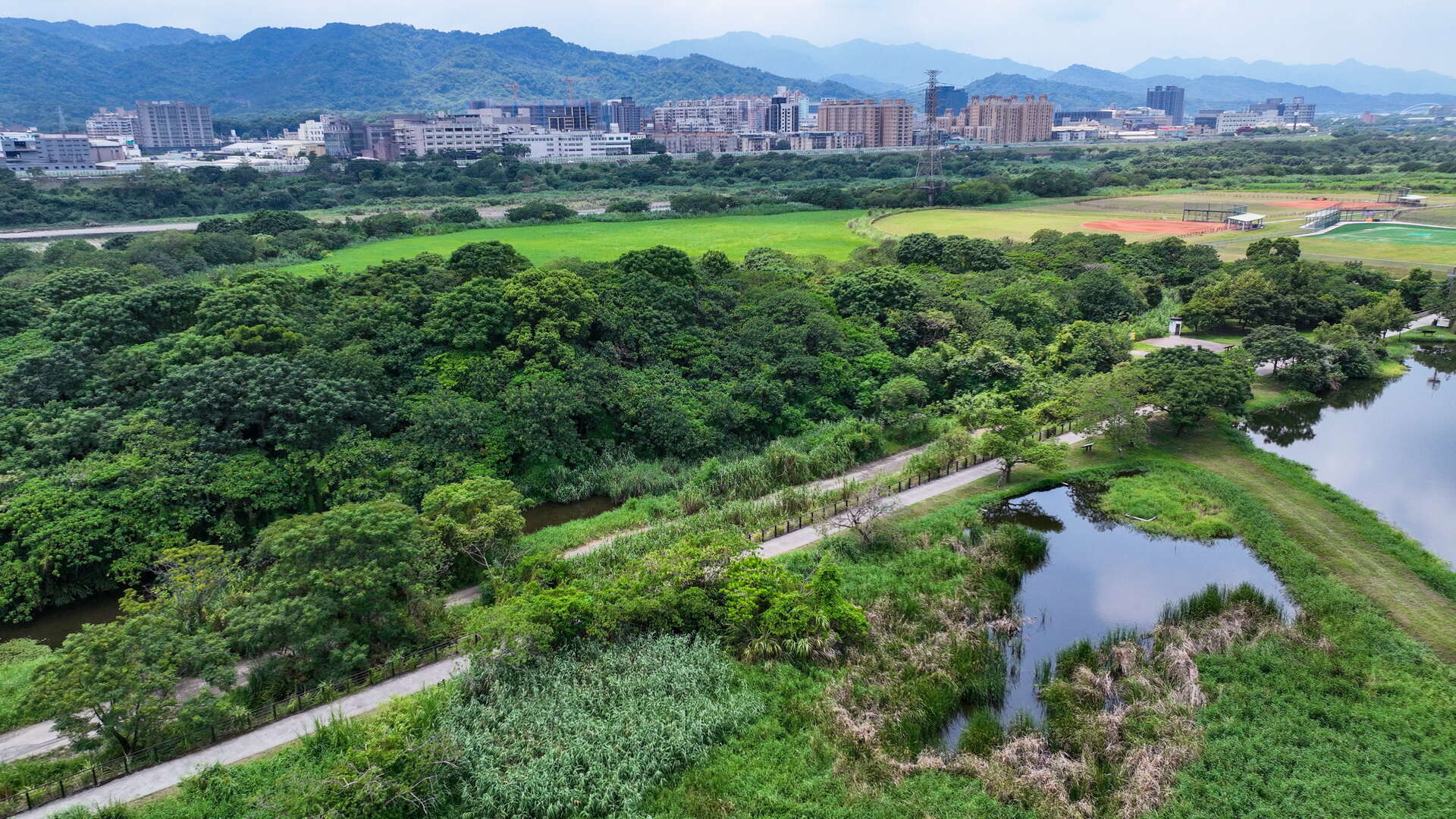 鹿角渓人工湿地