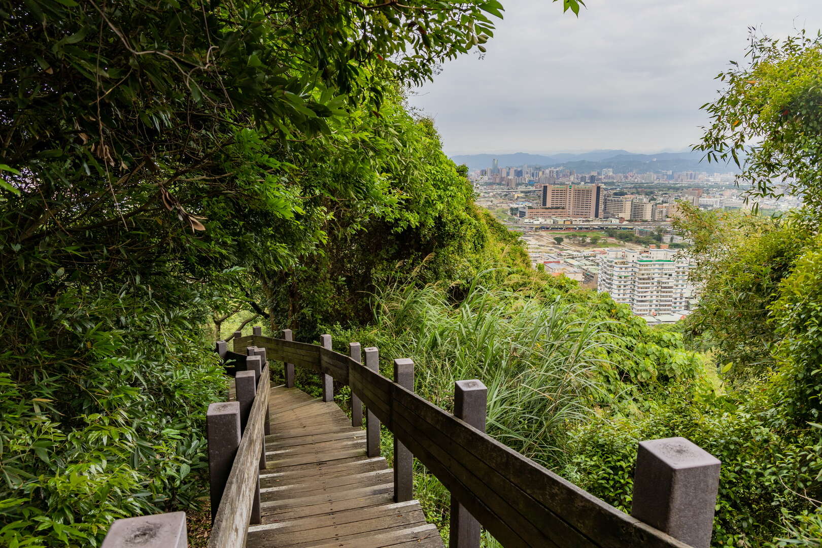 泰山義學坑步道