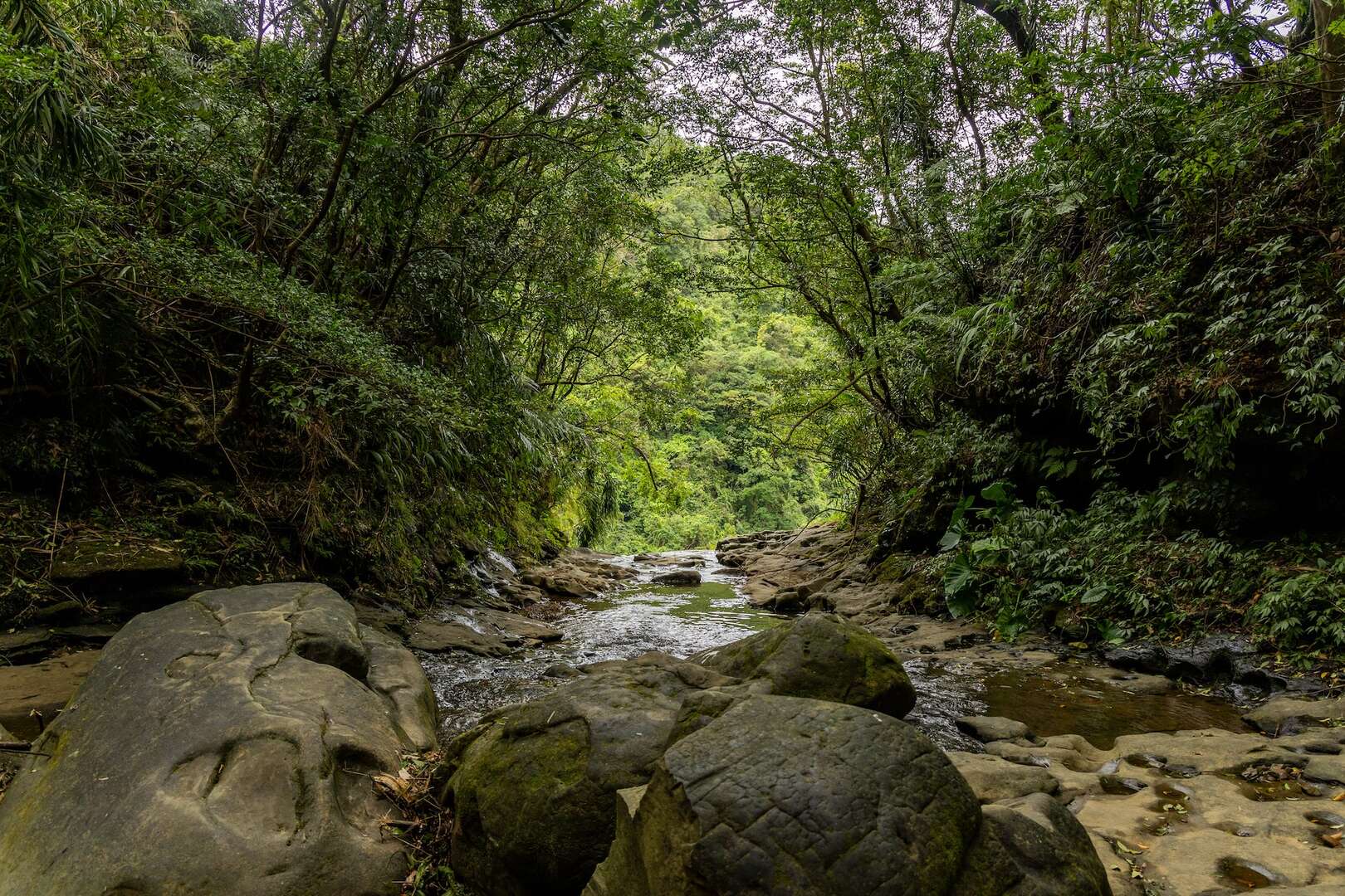 三貂嶺瀑布步道