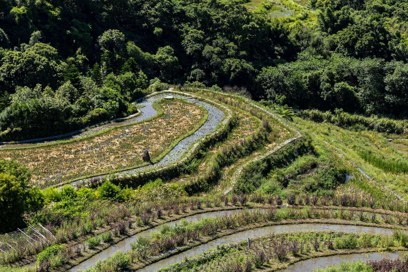 石門嵩山社區百年石砌梯田