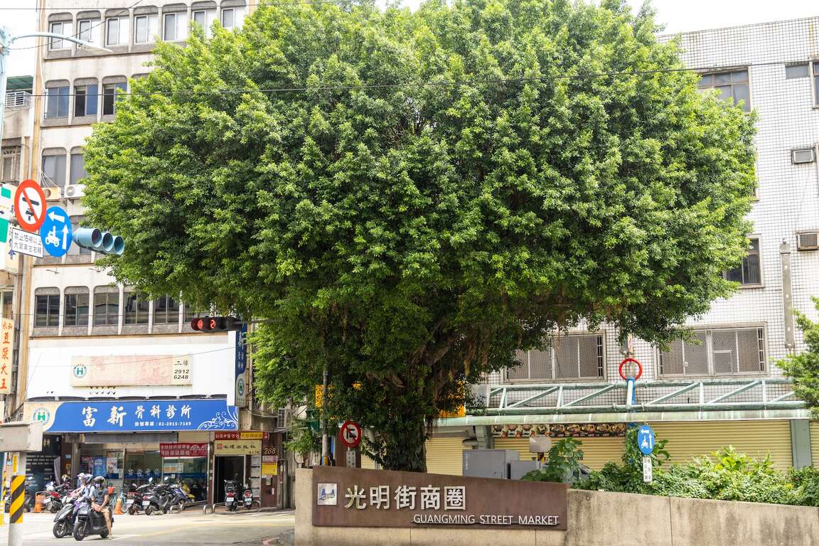 光明街商圈入口意象