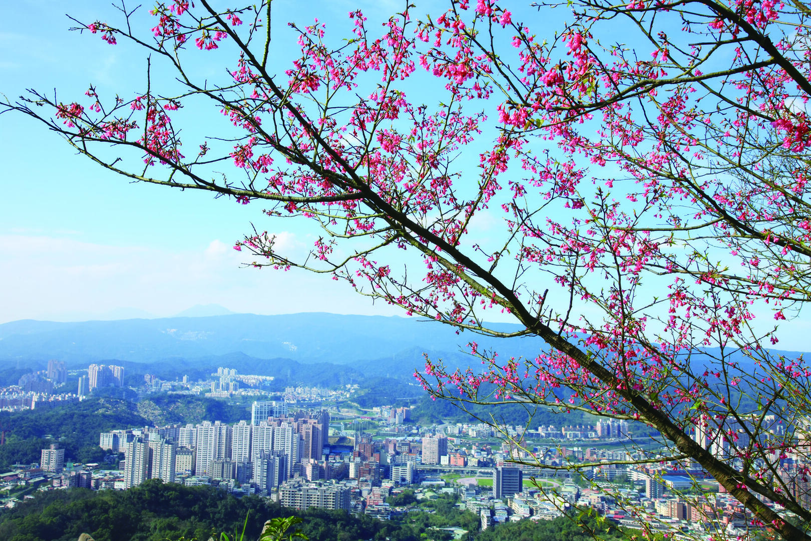 大尖山风景区