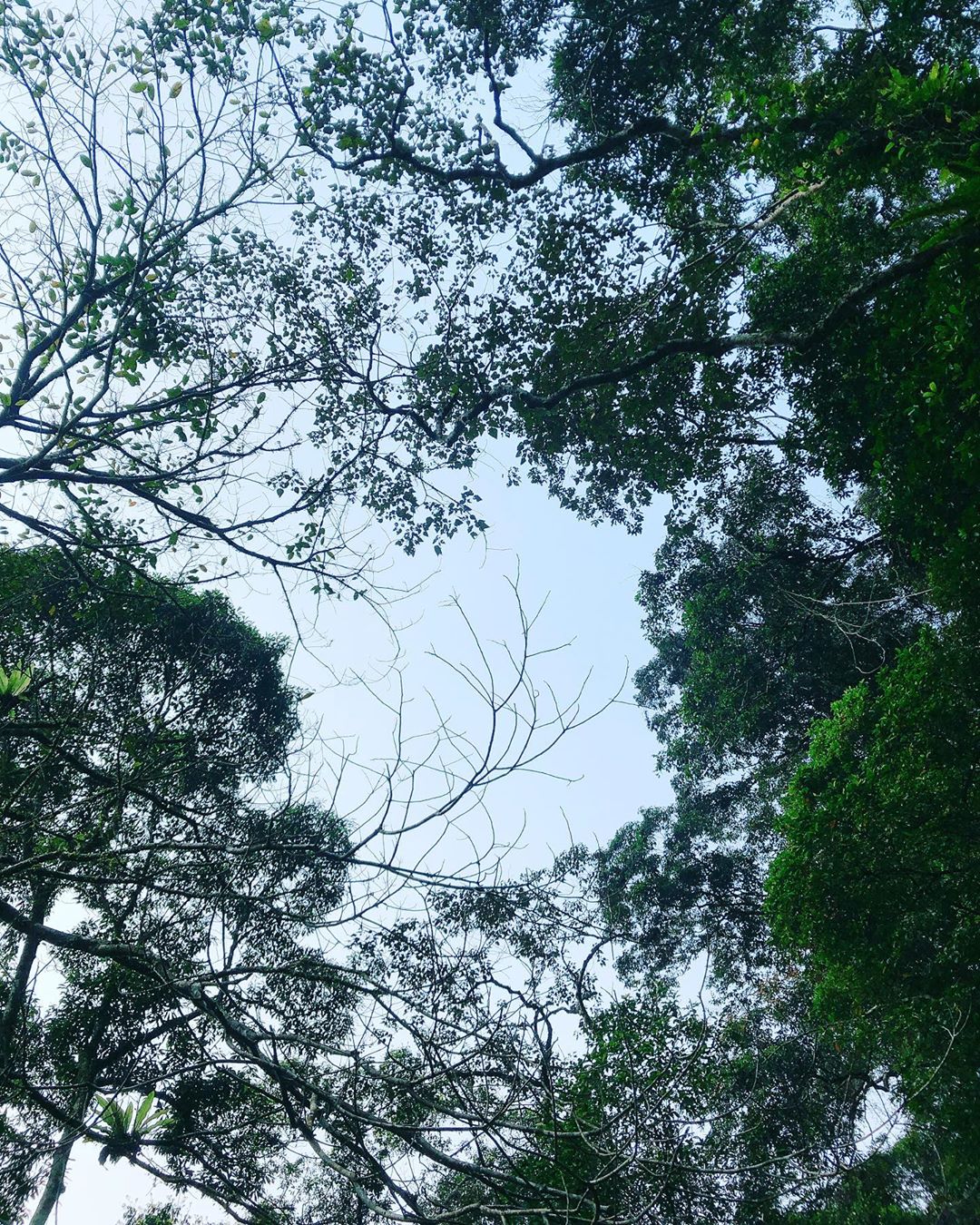 不論你身處何處，我們都處在同片天空