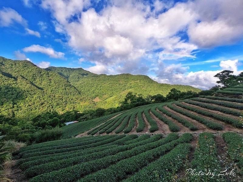 발걸음을 멈추게 하는 비경들이 너무 많고,깊이 파고들 수 있는 풍경도 너무 많아요