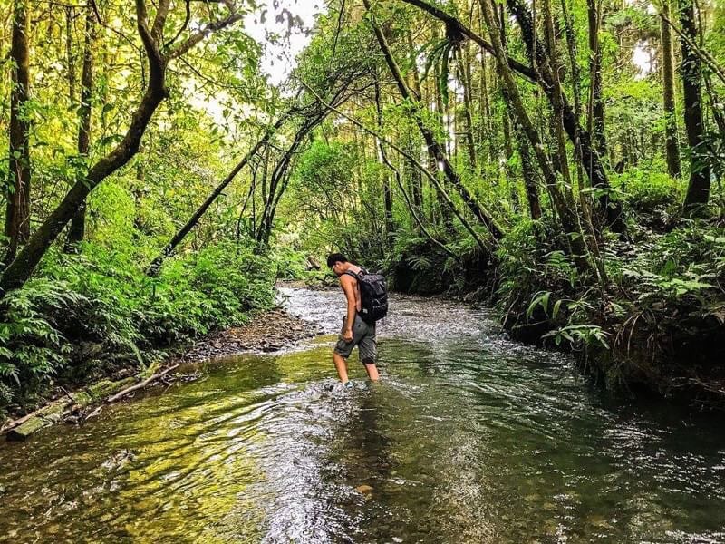휴일에 산속에 가서 시원하게 보내자!