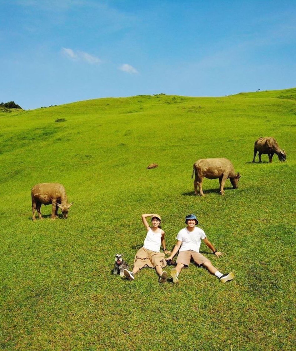 桃源谷歩道は観光客が少なく、視野が広がって山も海も楽しめます。