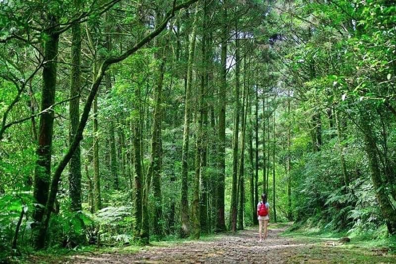 新北に美しい古い街道がありますが、とても幸いなことですね。