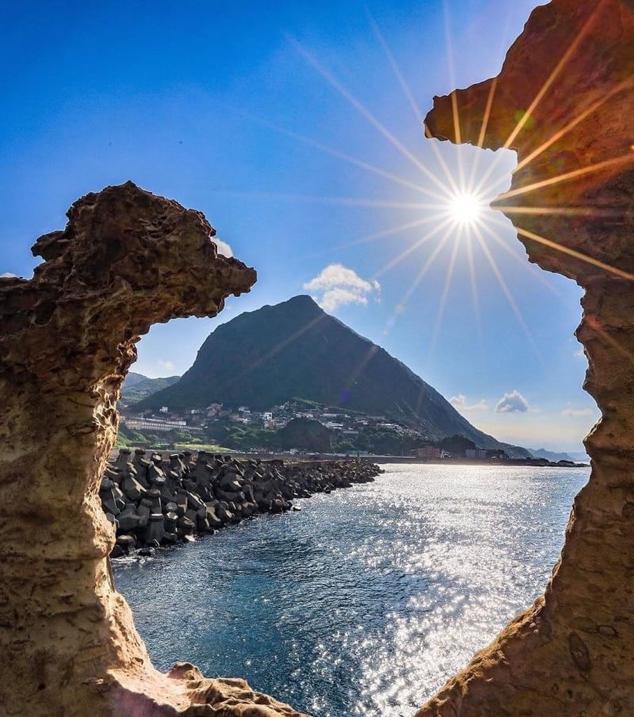 わんちゃん二匹、何か相談してるんだろう？なんて素敵な撮影アングル