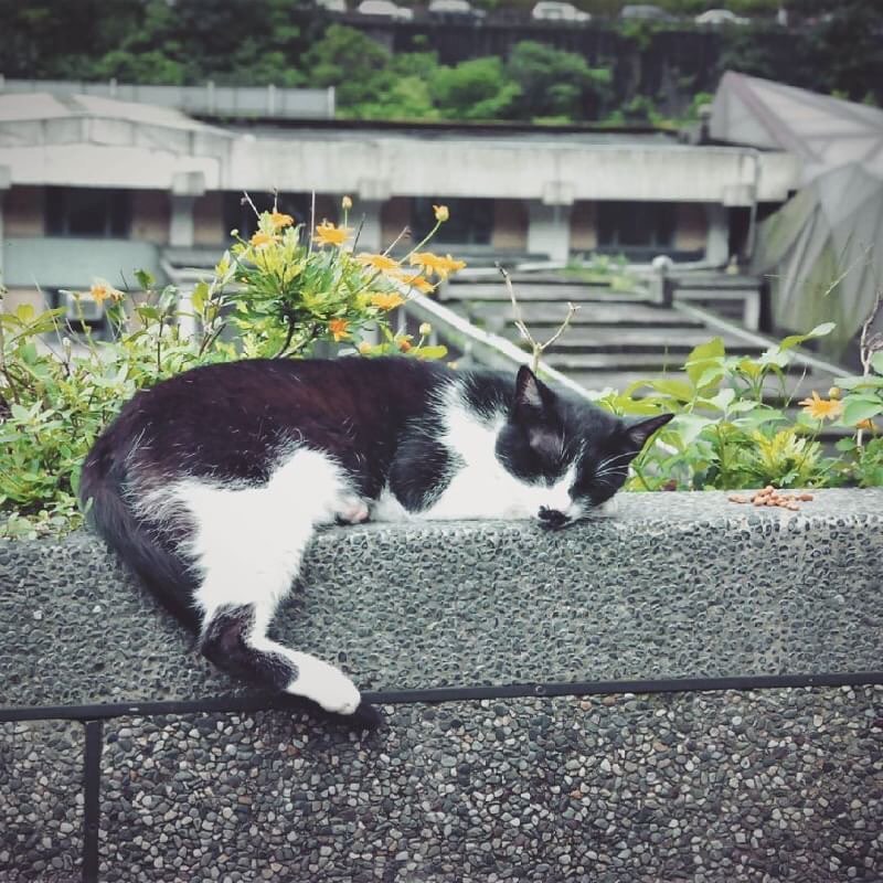 たとえ色々なところに行ったとしても、たくさん美しい風景を見てきても、ふるさとにいるのが一番落ち着く