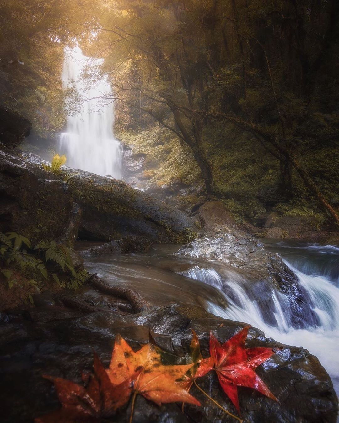 把你看到的美好風景