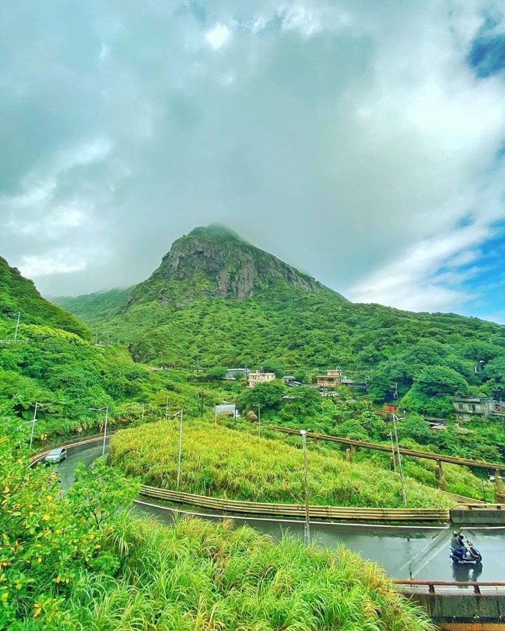 비 온 후의 초록빛은 아주 상큼하고 상쾌해요