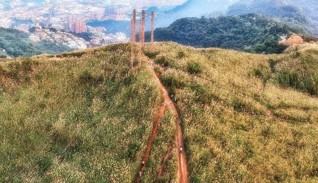 억새철이 곧 시작해요! 가을에만 볼 수 있는 풍경을 감상하면서 하이킹을 해보세요