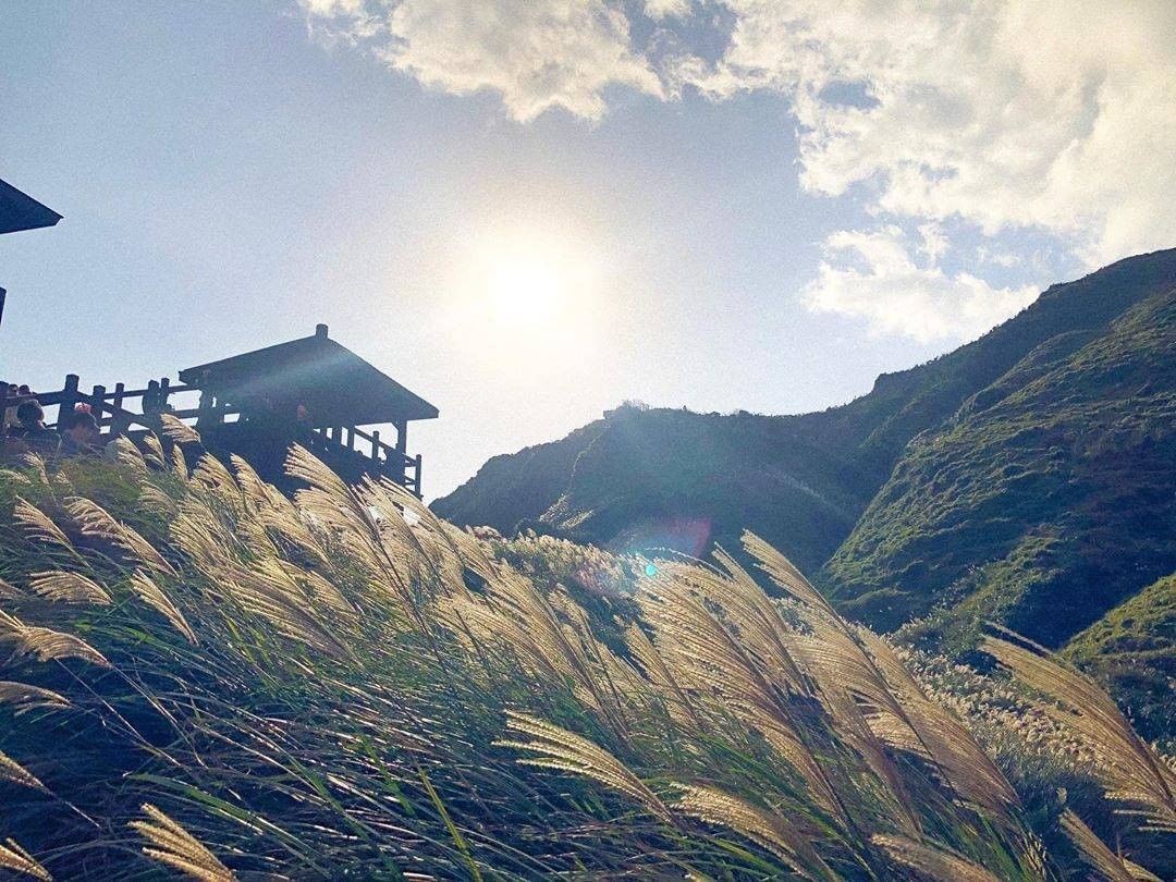 風に揺れるススキは山に広がっていた。