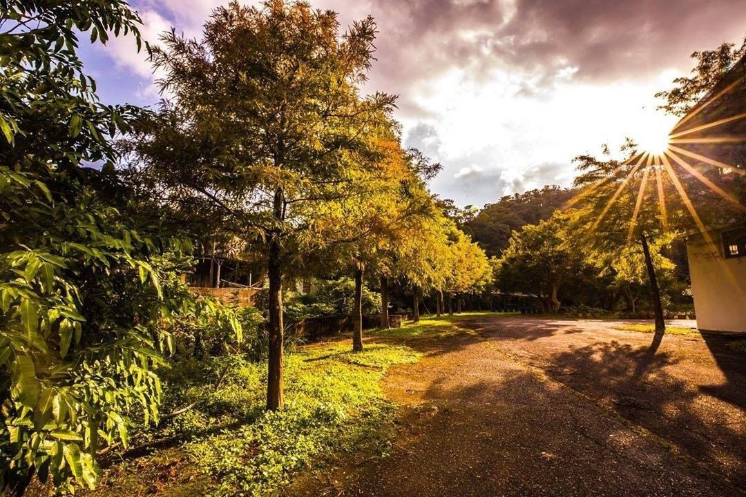 秋の新北に行きたーい。