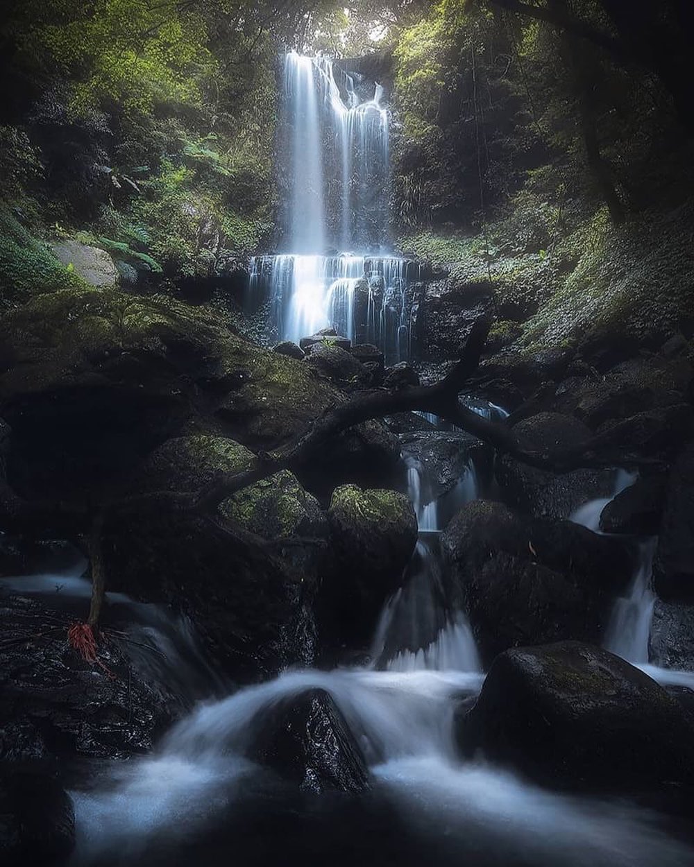 ️から冬へ、季節の交代。