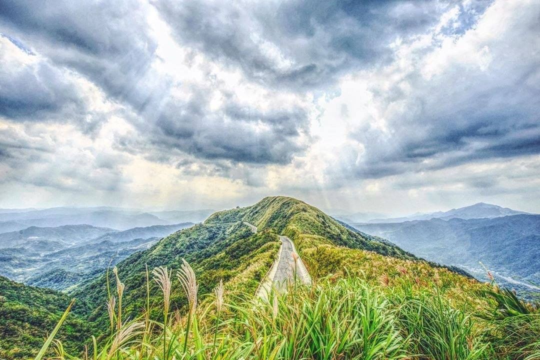 산 정상에 억새가 덮여있어서 너무 아름다워요!