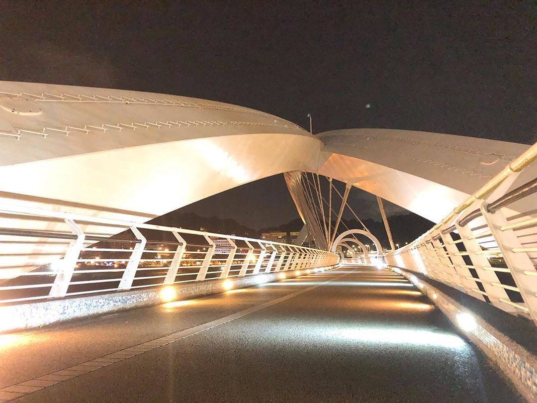 밤의 아름다움을 즐겨보세요