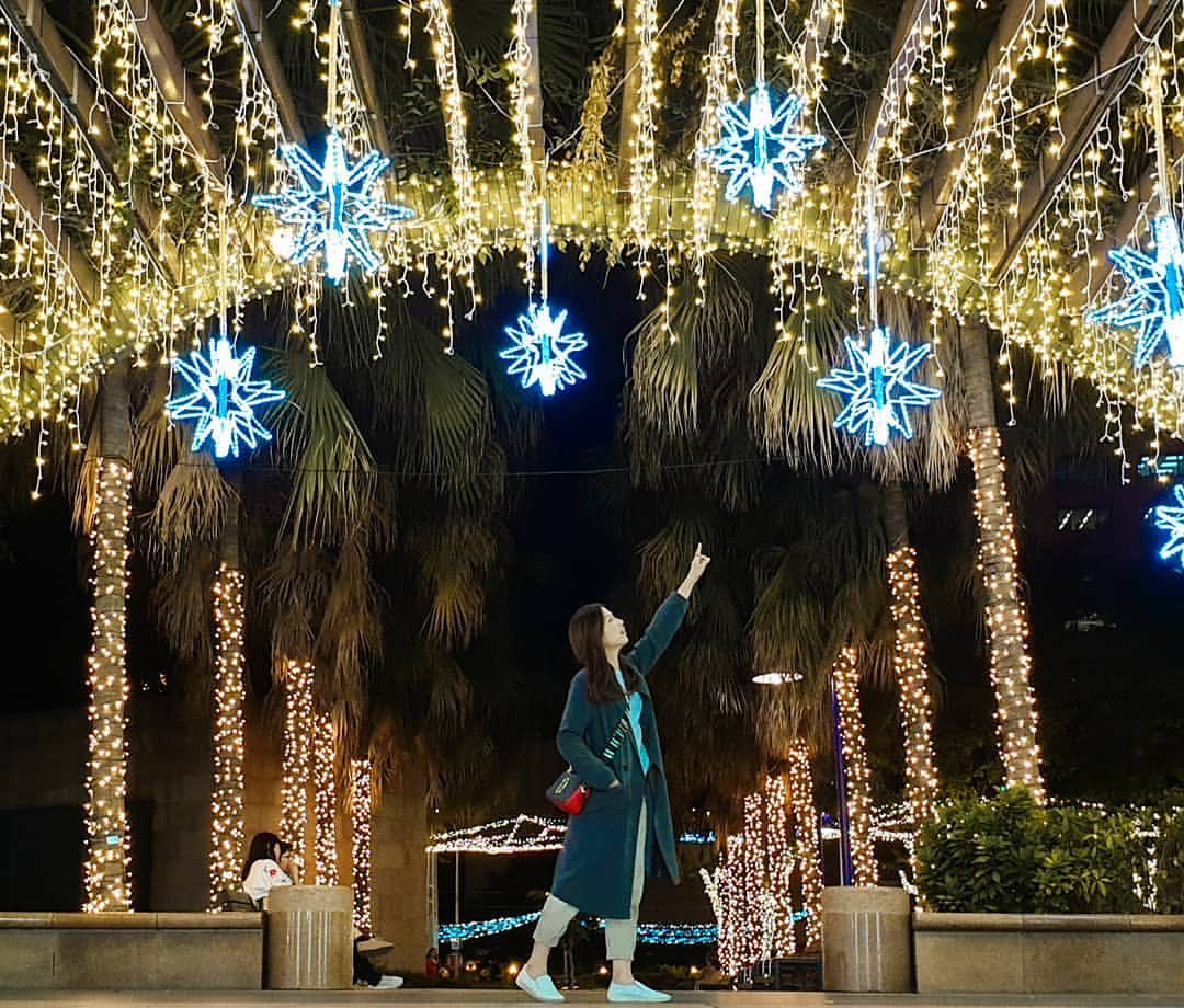 看～是夜空中最亮的星