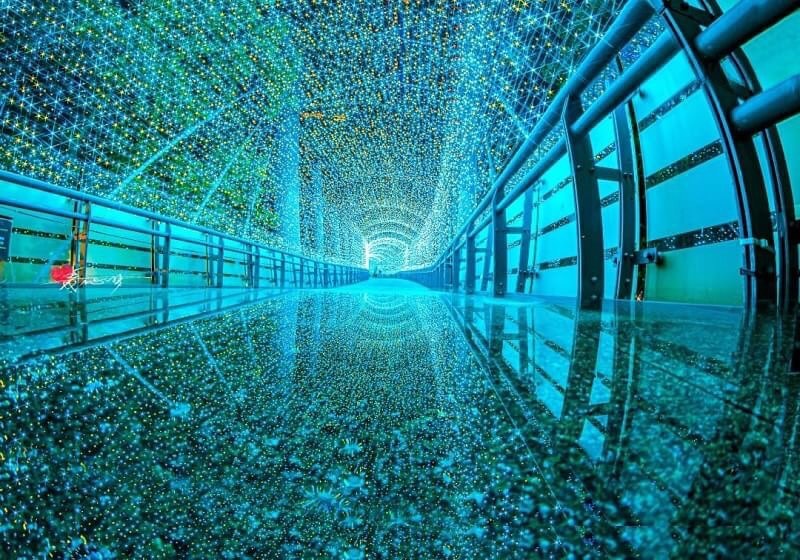 한 해 중 가장 로맨틱한 계절이 왔어요❤