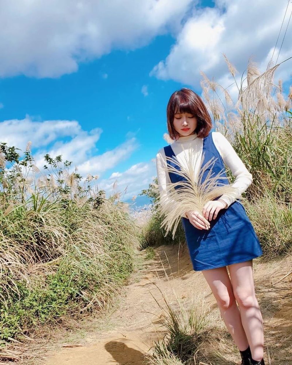 せっかくのいい天気なので、ススキ季節の終わりに訪れることができて、とてもラッキー！