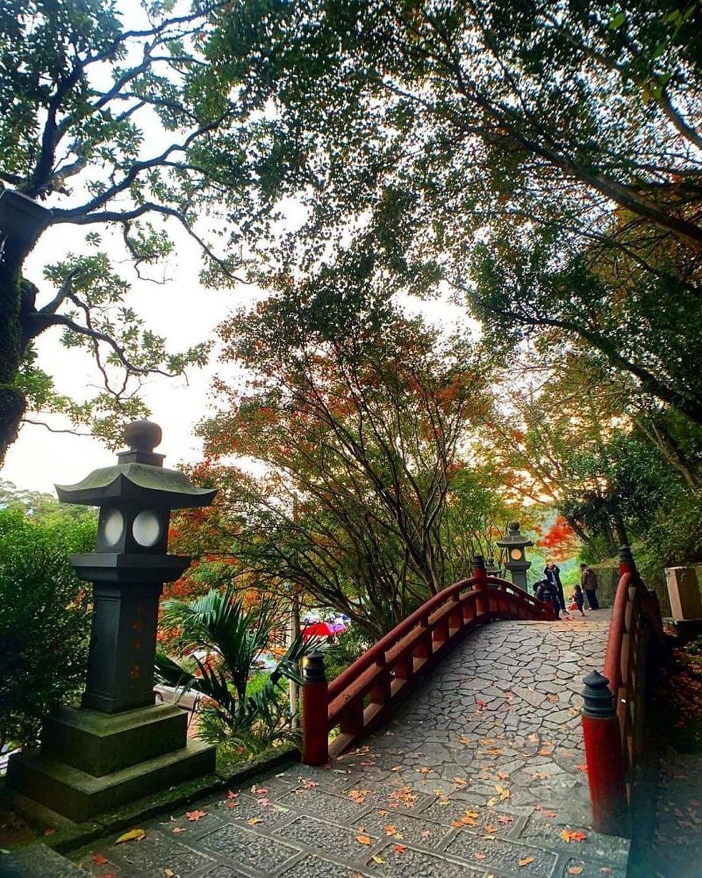 여행의 발걸음을 멈추고 싶지 않아요.