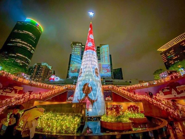 聳え立つクリスマスツリーはたっぷりクリスマス雰囲気をもたらします。