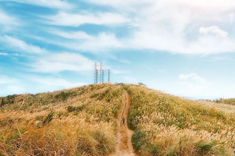 이 부드럽고 아득한 풍경을 좋아해요🕊