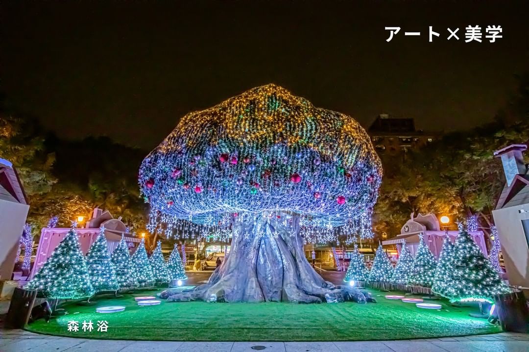 大きなガジュマルの木を使うことにし