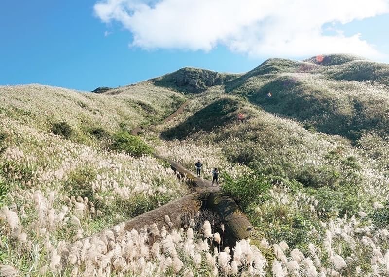 누가 대만에 설경이 없대요?