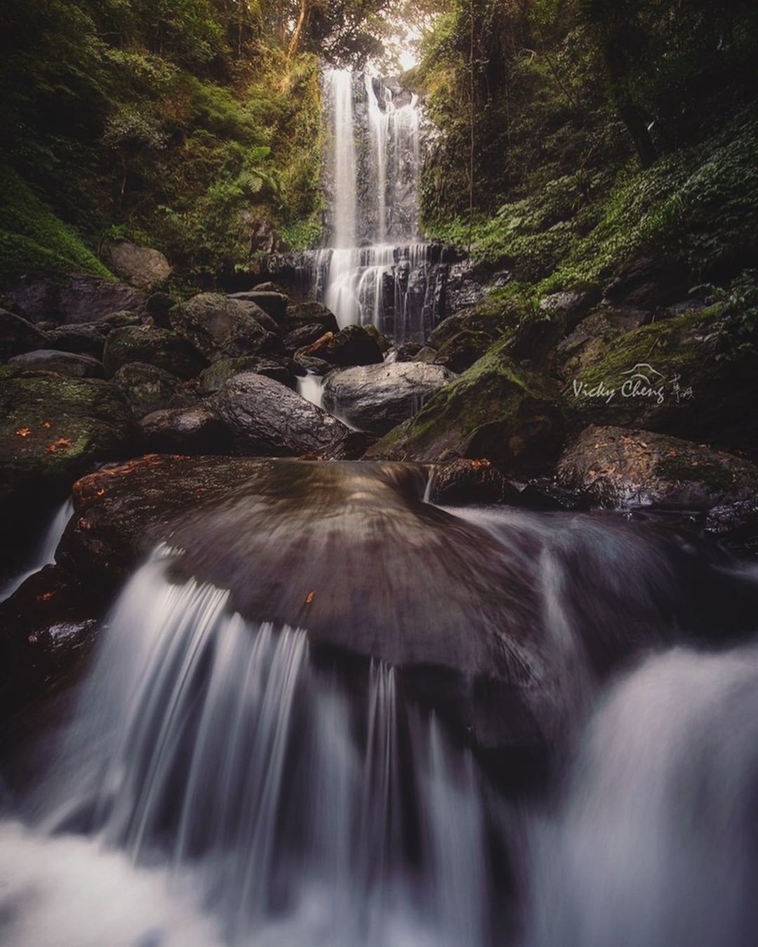 Enjoying forest bath, breathing in phytoncides and going outdoors is also an enjoyment of life.