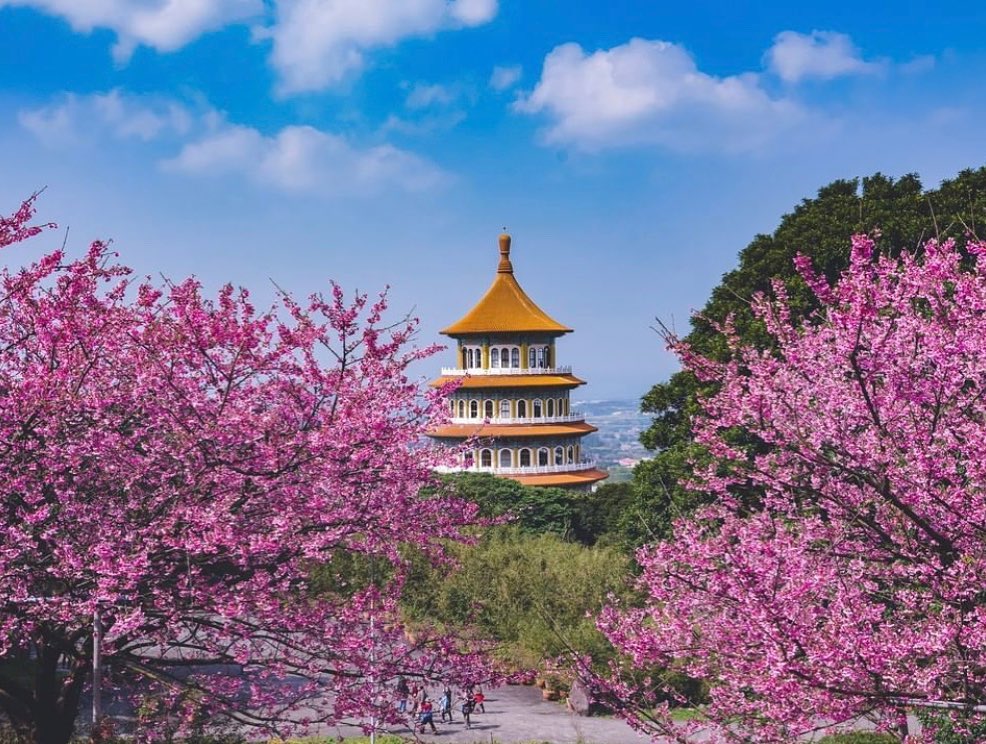 粉絲風暴再次來襲