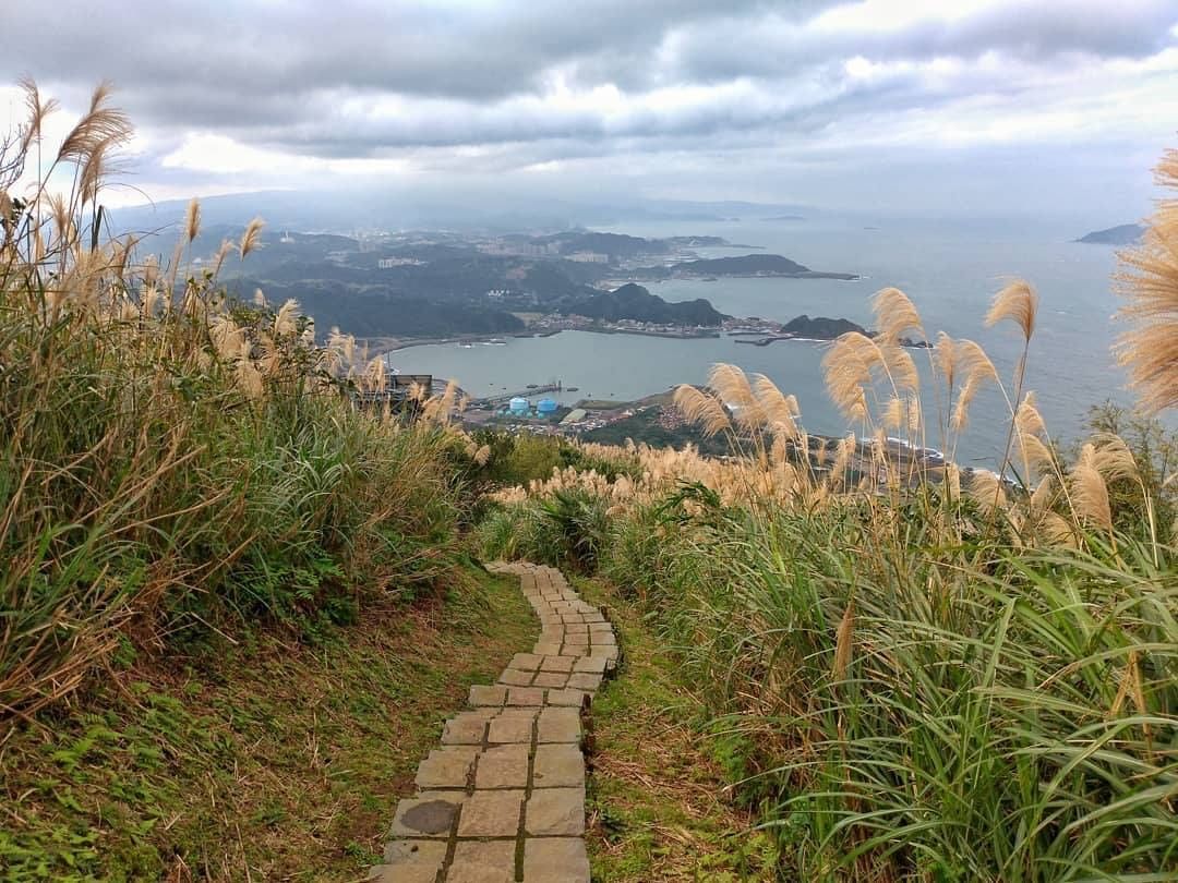 Life is about keep moving forward, so you could gain vast experiences in it.