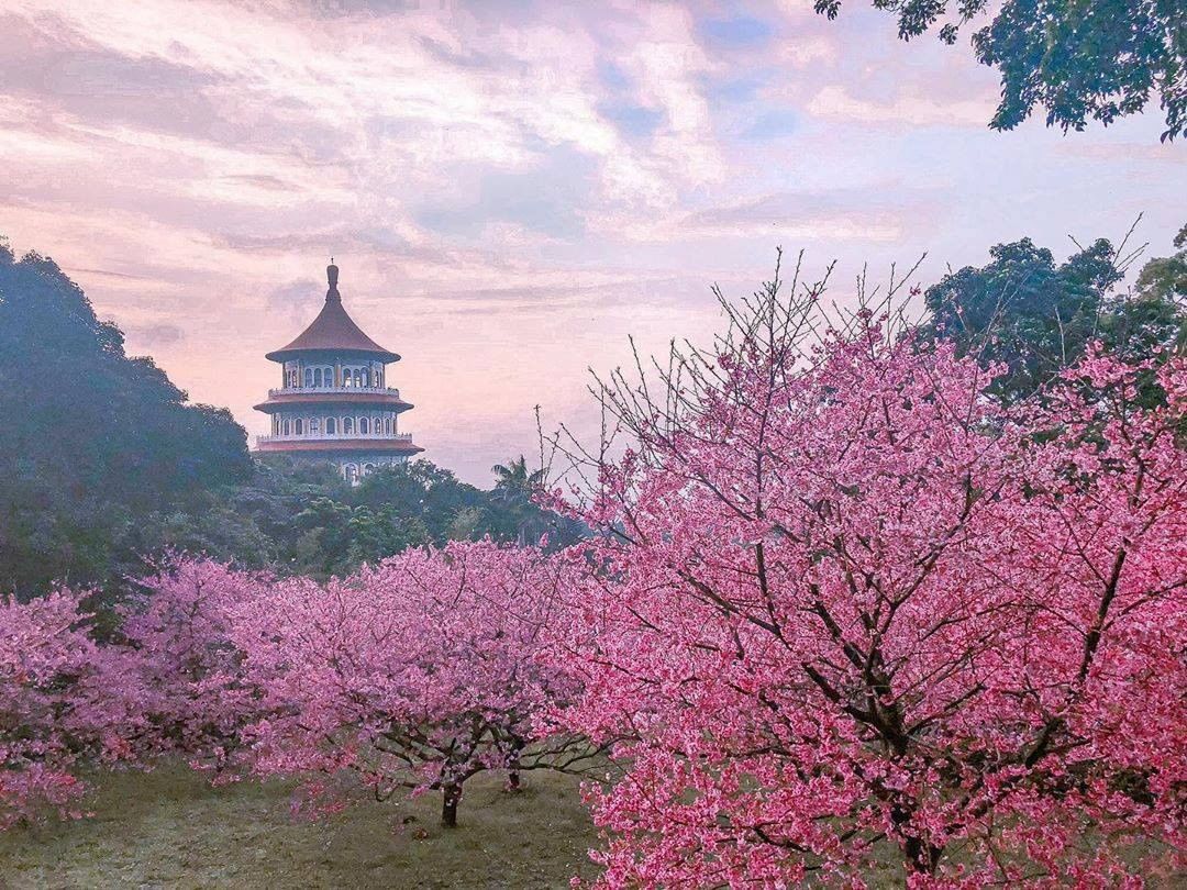 大家別來️ 為防止疫情擴大，請大家忍耐一下～今年不要到現場賞櫻喔！ ⠀⠀⠀⠀⠀⠀ ⠀ ⠀⠀⠀⠀⠀⠀⠀ ⠀⠀⠀⠀