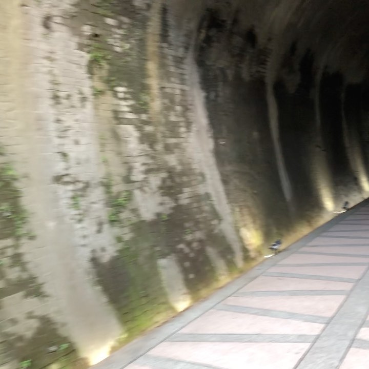 百年秘境！超美自行車步道 ⠀⠀⠀ ⠀ 歡迎 @newtaipeitour  或 #newtaipeitour ，加入我們！踴躍分享你眼中的美麗新北，讓更多人看見！