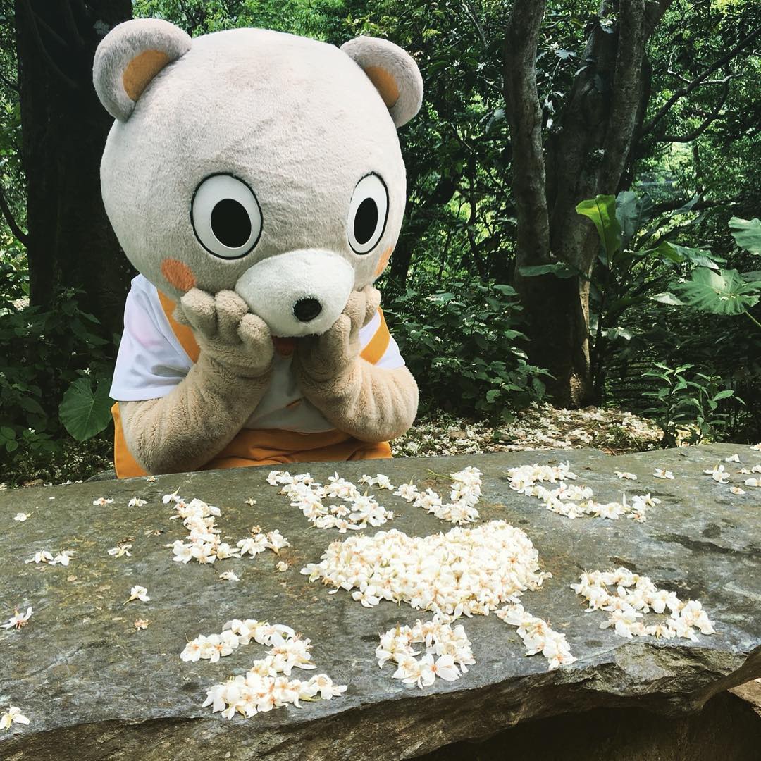 這個禮拜一特別不blue