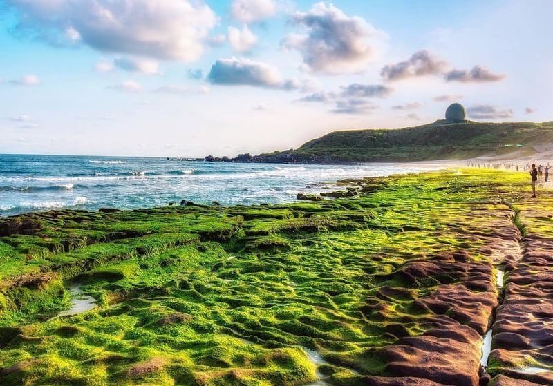 아름다운 경치가 봄의 리듬에 맞춰서 줄곧 따라와요！세계적으로 아름다운 경치인 라오메이 스차오 의 천연 푸른 융단은 #봄 에만 볼 수 있어요