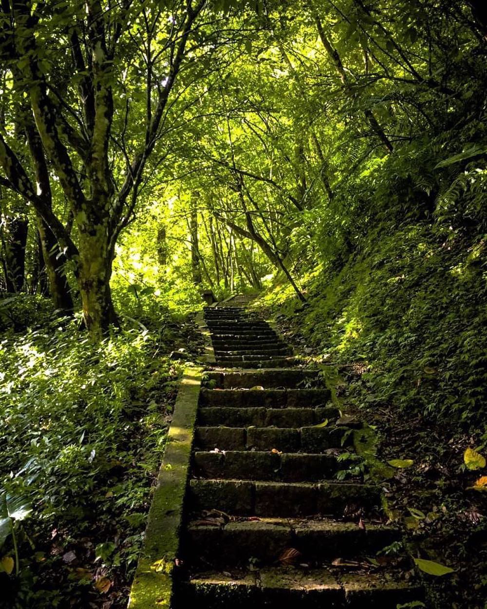 instagram-BwgZ4Nxgyi9