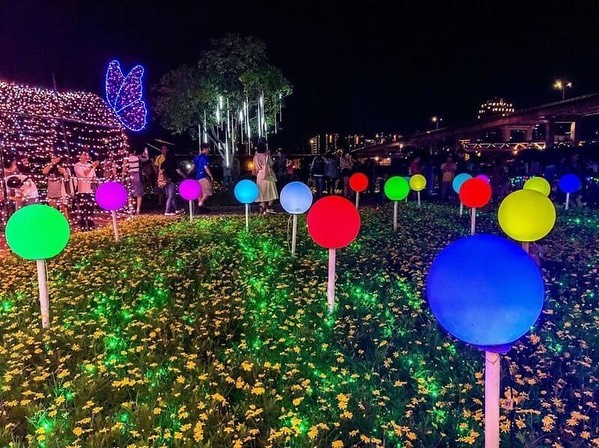 昼間に花の海、夜にプロジェクションマッピング。新北にある#蝴蝶公園 は昼も夜も違うスタイルで楽しめます。