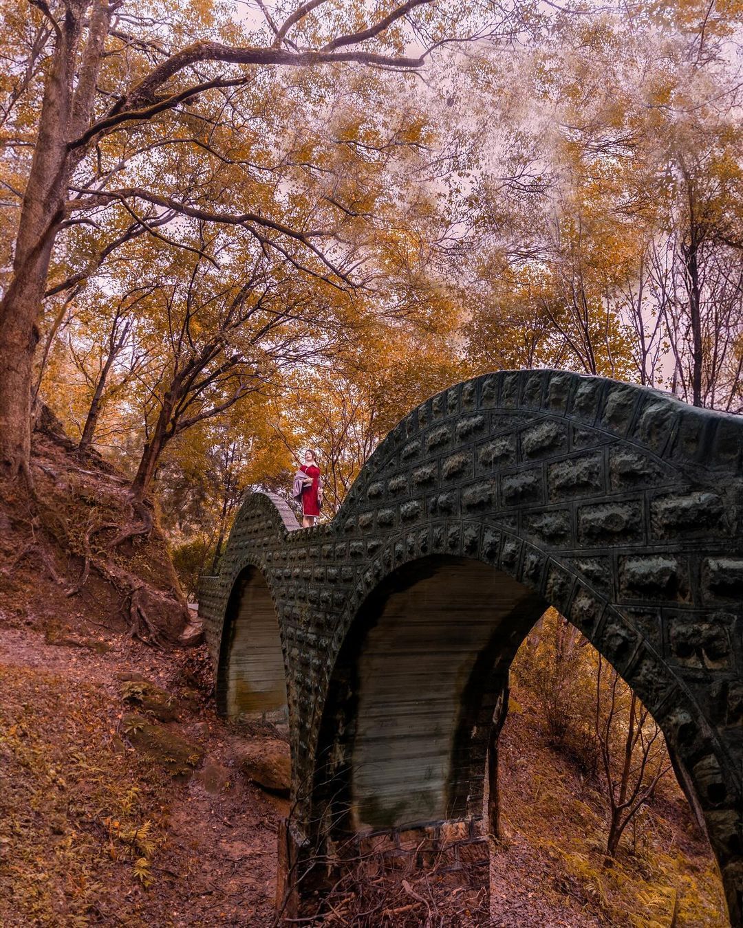 不用飛日本也能賞楓！