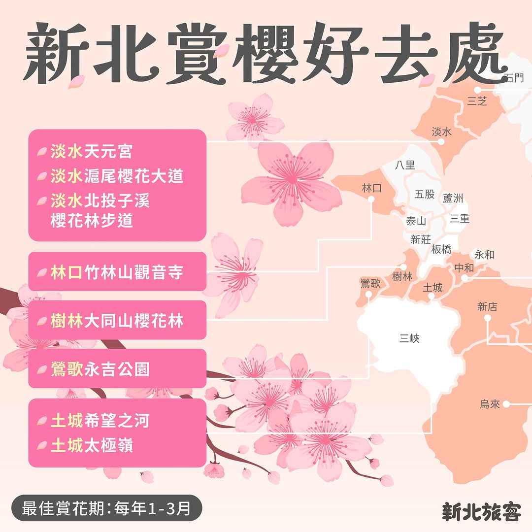 #新北賞櫻好去處 往左滑