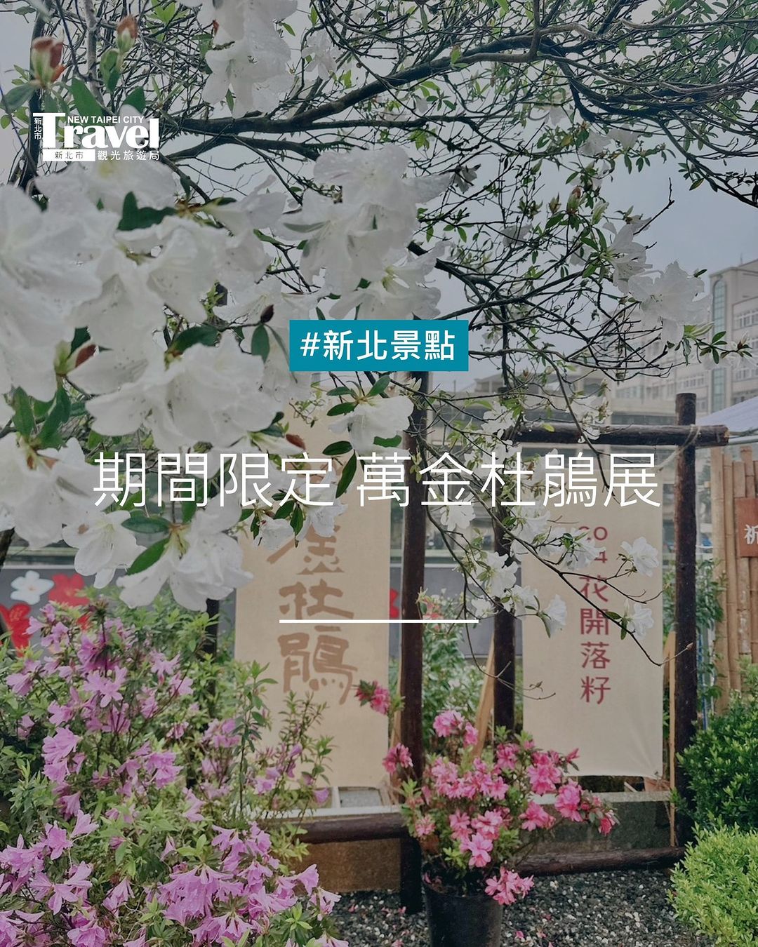 期限限定「花開落籽．河畔杜鵑饗宴」