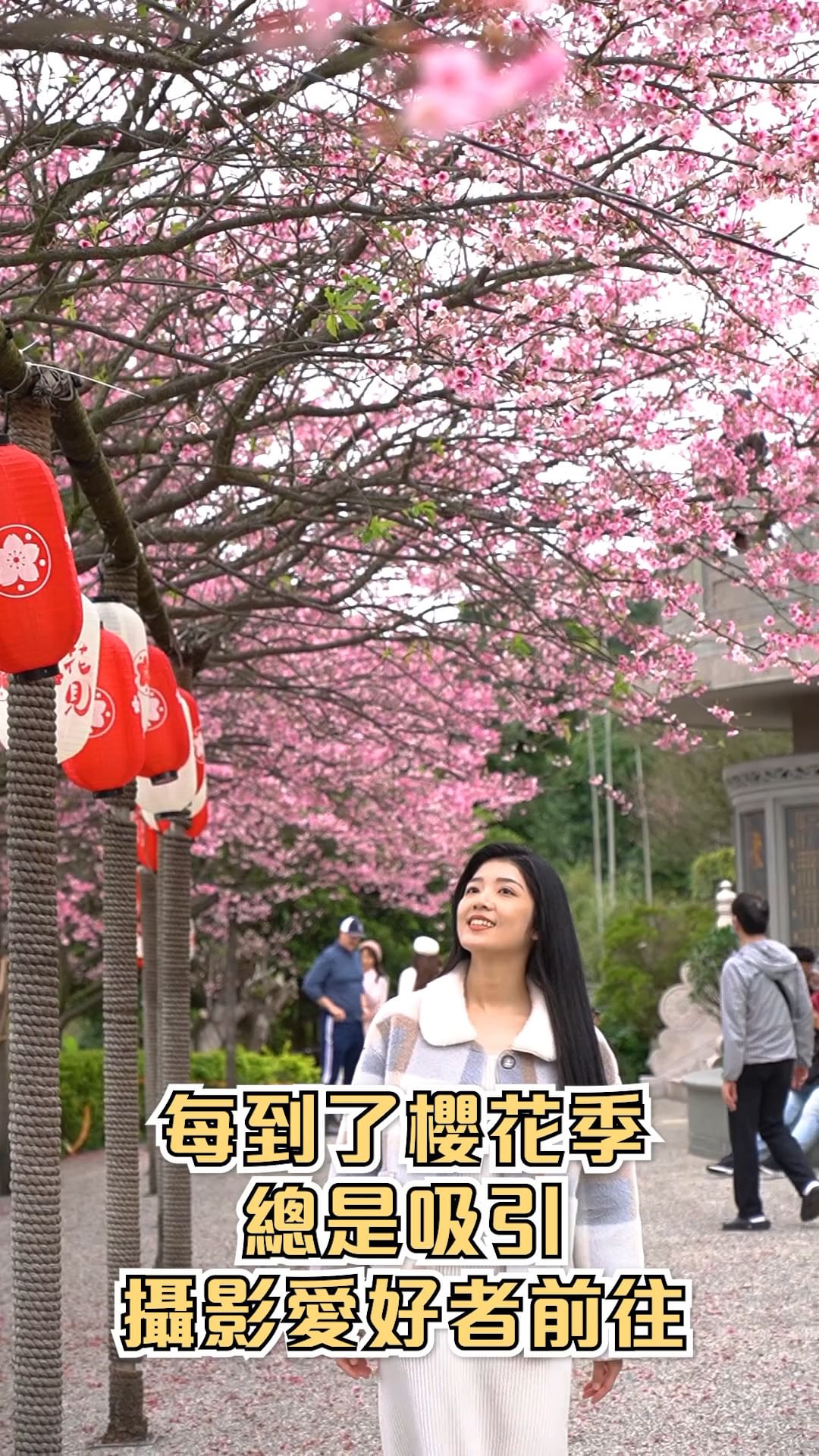 走春來 #人氣賞櫻勝地 櫻花海超浪漫