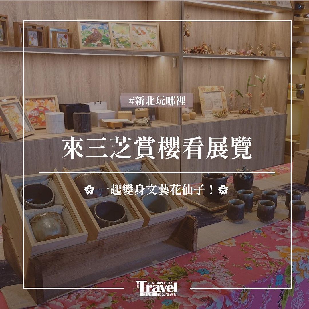 三芝的櫻花開啦