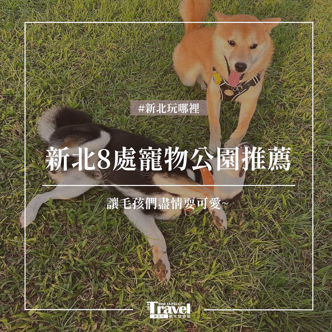 甜蜜的負擔主人們都懂