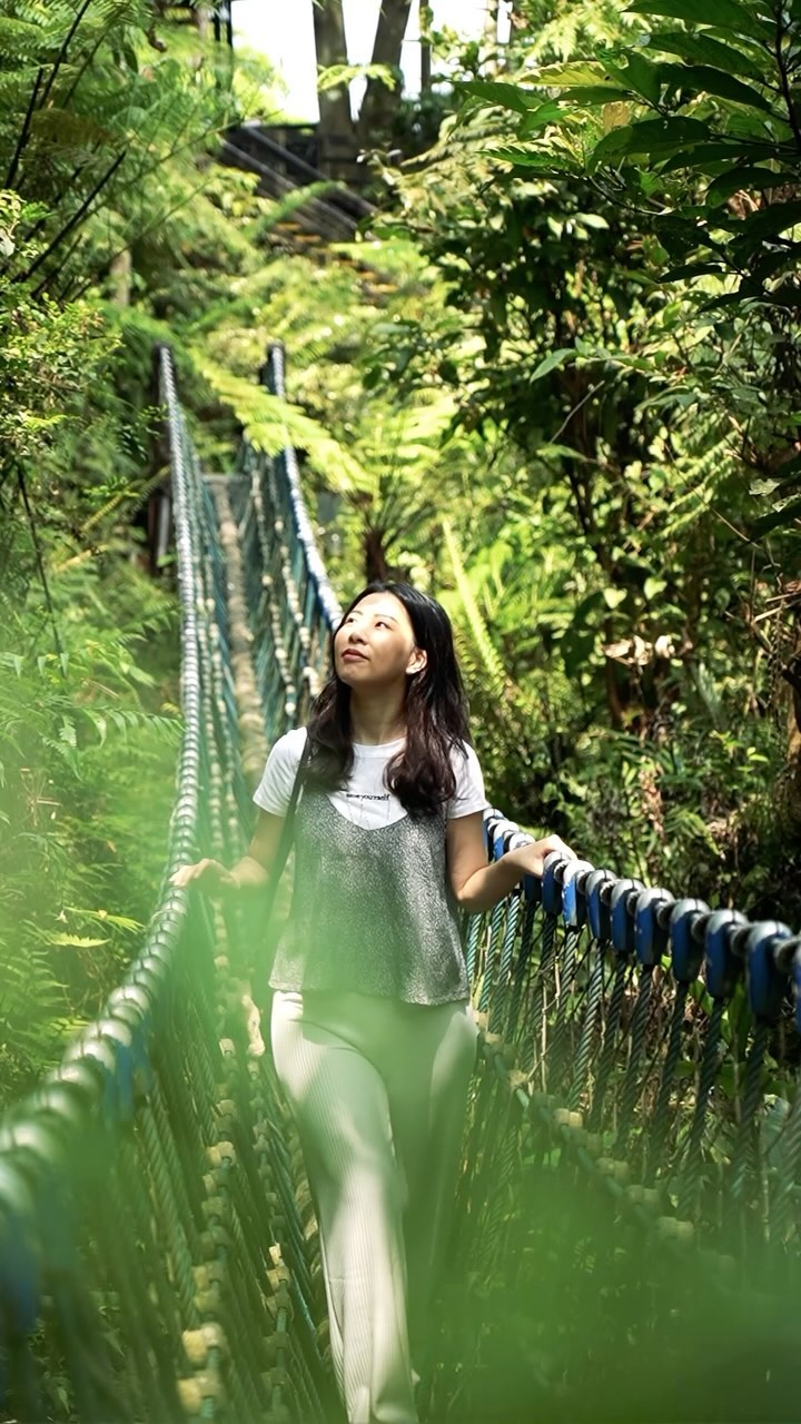 #季節限定 桐花開了！ 