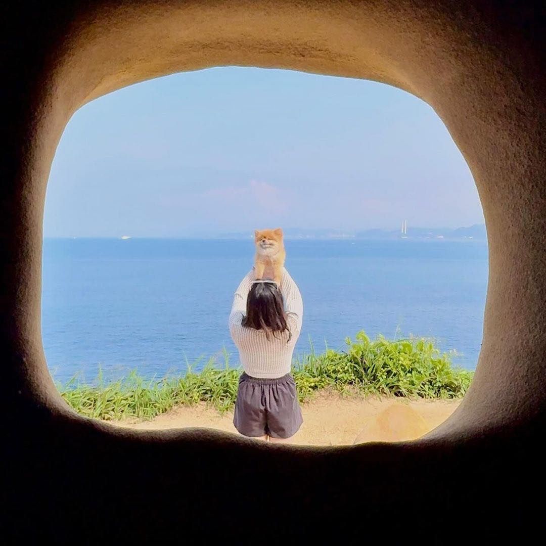 讚嘆大自然的鬼斧神工！在野柳附近有一個容易錯過的景點，卻是許多人必訪的地方，鑽進駱駝峰，就可以看到通往大海的洞穴奇景